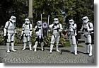 501st