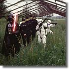 501st.cz + host�