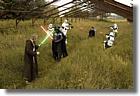 501st.cz + host�