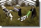 501st.cz + host�