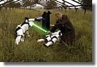 501st.cz + host�