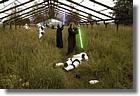 501st.cz + host�